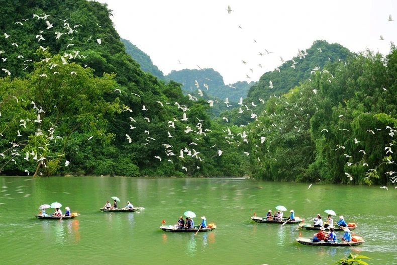 Thung Nham, paradis écologique au cœur de Ninh Binh