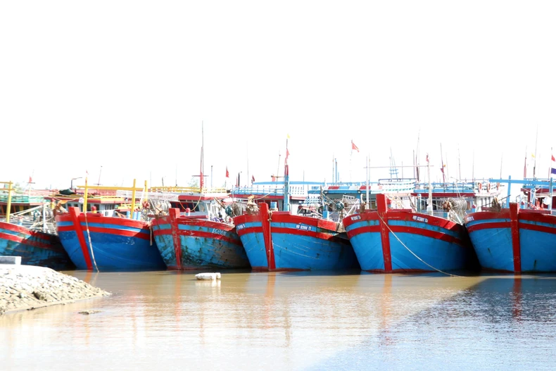 Ninh Binh compte actuellement 1.861 navires, dont 593 mesurant 15 mètres ou plus. Photo : VNA