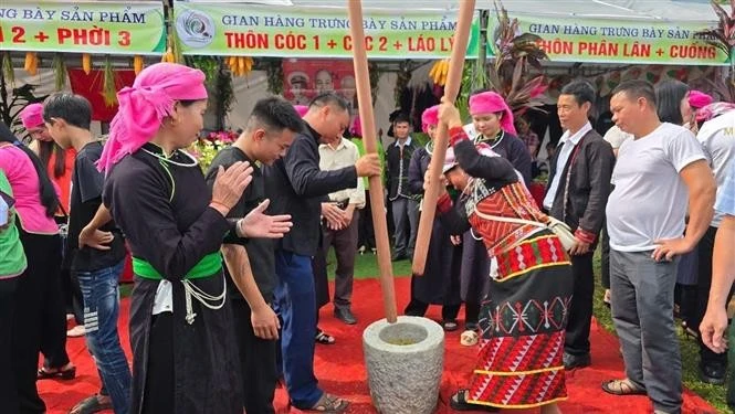 Lào Cai : ambiance festive lors de la Fête du côm 2025 à Hop Thanh