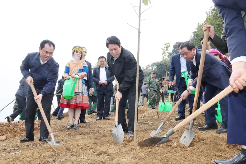 Le président Luong Cuong participe à la plantation d’arbres avec les délégués et la population locale dans le cadre du projet du parc culturel de Lao Cai, dans le quartier de Cam Duong. Photo : VNA