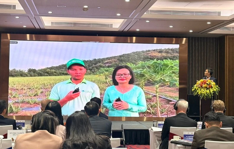 La société par actions alimentaire Canh Dong Viet (Vietfarm) partage ses réalisations grâce au soutien du projet. Photo : PV/Vietnam+