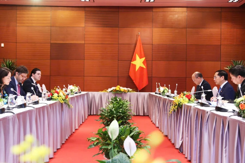 Panorama de la rencontre. Photo : Le ministère des Affaires étrangères du Vietnam.