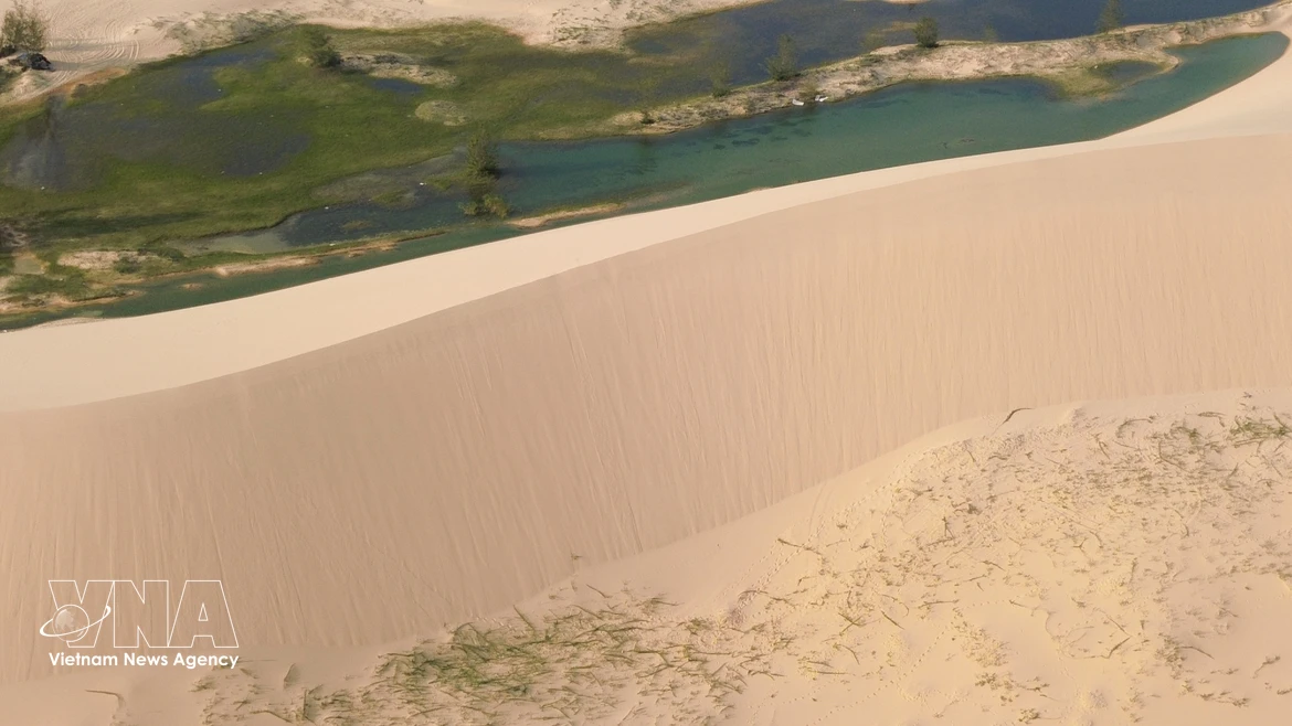 Les rafales de vent balayant le sable forment de magnifiques pentes aux motifs ondulés. Photo : VNA
