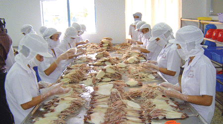 Les Japonais friands de céphalopodes du Vietnam ảnh 1 Les Japonais friands de céphalopodes du Vietnam ảnh 1