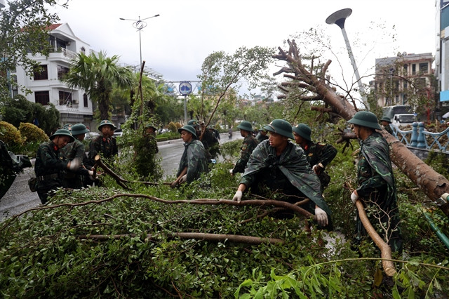 Des soldats du 43e régiment d’infanterie, division 395, région militaire 3, travaillent sous la pluie pour dégager les arbres tombés le long de la route nationale 18A dans la ville de Ha Long, province de Quang Ninh. Photo: VNA