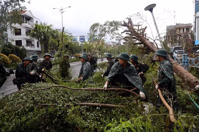 Des soldats du 43e régiment d’infanterie, division 395, région militaire 3, travaillent sous la pluie pour dégager les arbres tombés le long de la route nationale 18A dans la ville de Ha Long, province de Quang Ninh. Photo: VNA