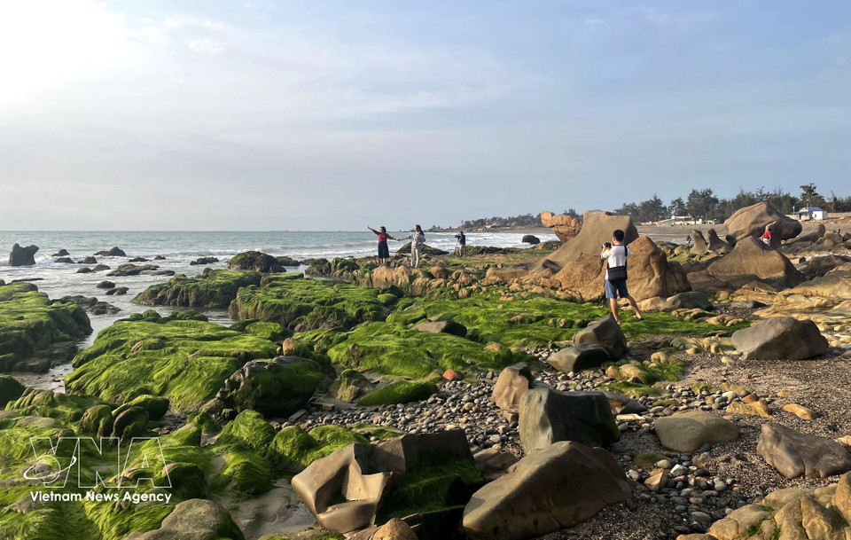Ce lieu accueille en moyenne des centaines de milliers de visiteurs chaque année. Photo: VNA