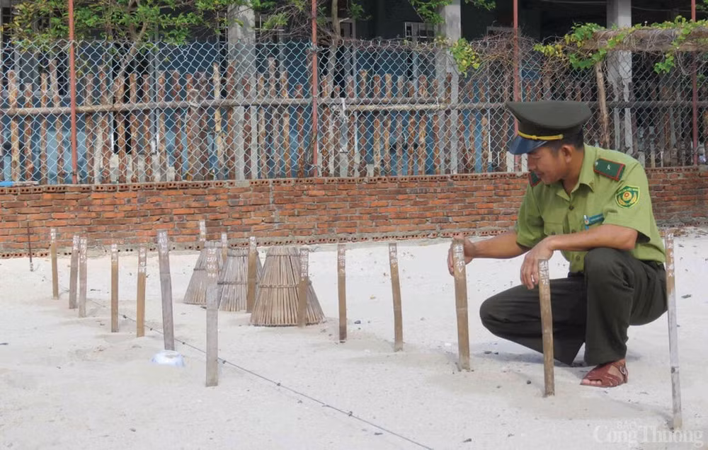 tran-dinh-dong.jpg
