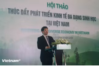 nguyen-dinh-tho.png