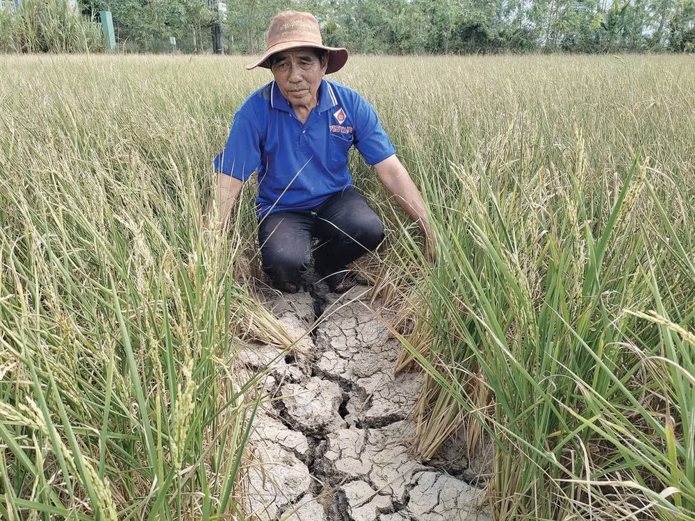 la-secheresse-et-la-salinite-sintensifient-dans-le-delta-du-mekong.jpg