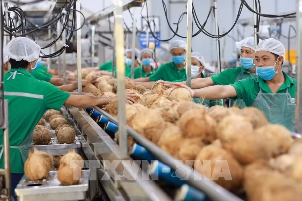 chaine-de-production-de-leau-de-coco-fraiche-pure-en-conserve-cocoxim.jpg