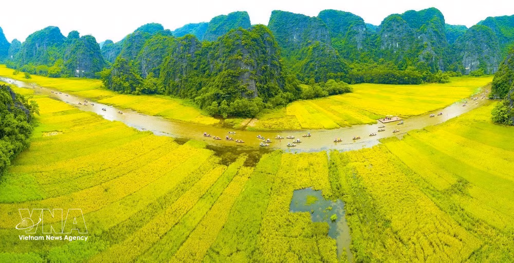 vnanet-ngo-dong.jpg