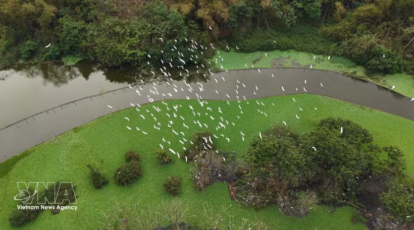 Le jardin ornithologique de Thung Nham se situe dans la zone écotouristique de Thung Nham, dans le quartier de Nam Hoa Lu, province de Ninh Binh. Photo : VNA