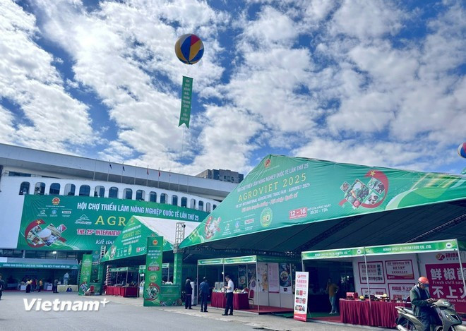 La demande croissante en Chine offre des opportunités importantes pour les principales matières premières vietnamiennes. Photo: VietnamPlus