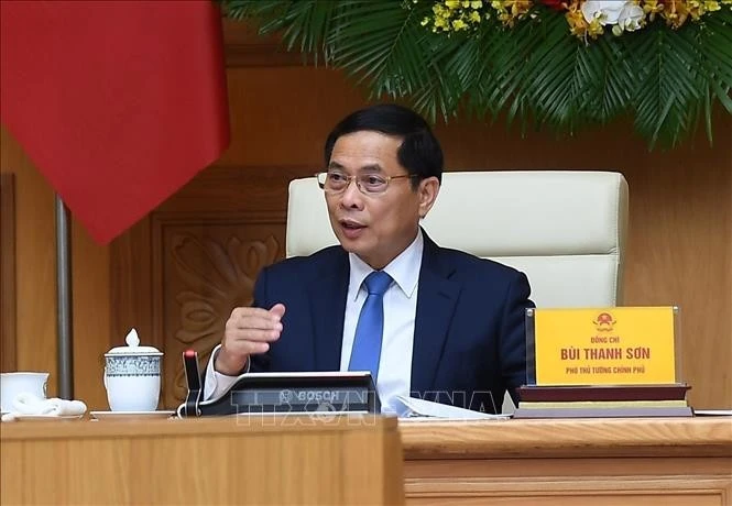 Le vice-Premier ministre Bui Thanh Son. Photo: VNA