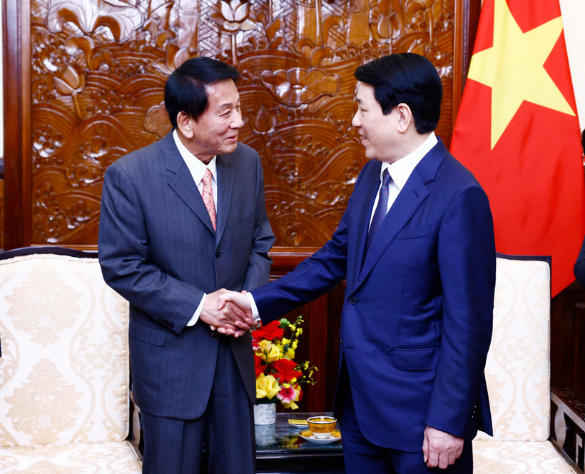 Le président de la République, Luong Cuong, (droite), et l'ancien ambassadeur spécial Vietnam-Japon, Sugi Ryotaro. Photo: VNA