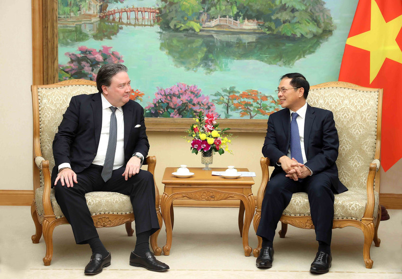 Le 23 octobre, au siège du gouvernement à Hanoï, le vice-Premier ministre Bui Thanh Son (droite) a rencontré Marc E. Knapper, ambassadeur des États-Unis au Vietnam. Photo: VNA