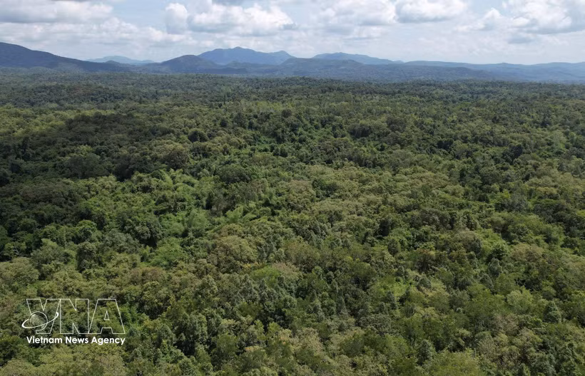La Réserve naturelle d’Ea So, dans la province de Dak Lak (Centre). Photo: VNA