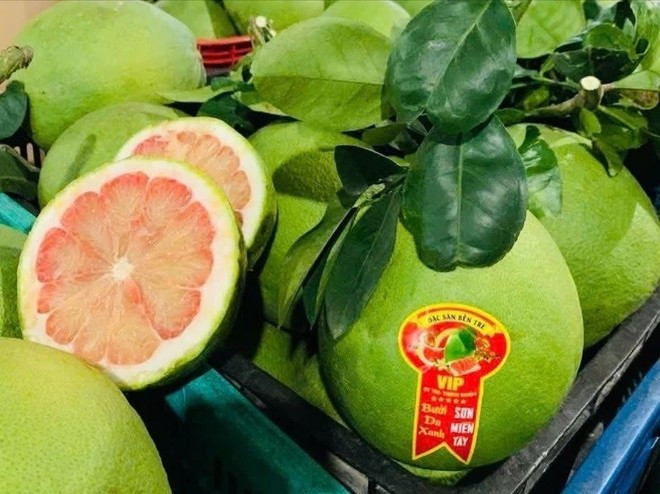 La reconnaissance par l'Australie de la capacité du Vietnam à respecter les normes de biosécurité ouvre des perspectives importantes pour les exportations de pamplemousses du Vietnam dans un avenir proche. Photo: VietnamPlus