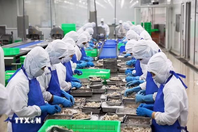 Les exportations de produits aquatiques établissent un nouveau record. Photo: VNA