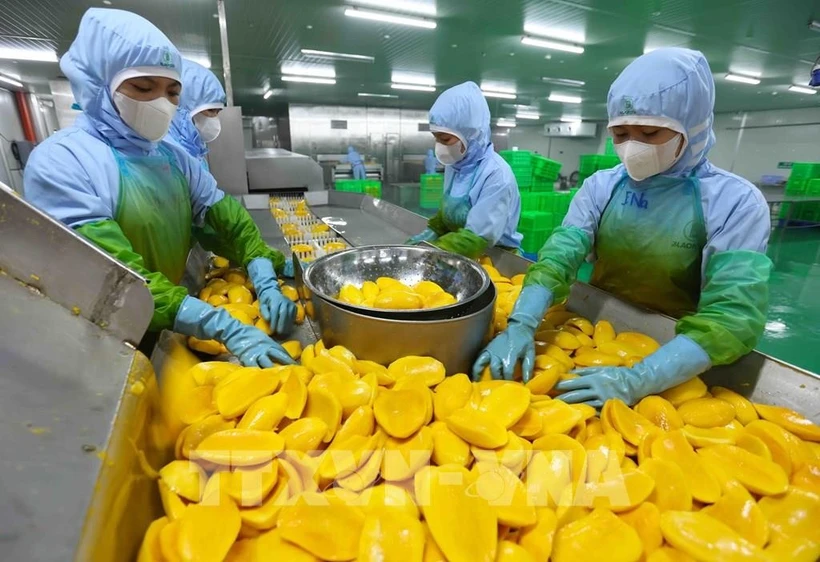 Transformation de produits à base de mangue destinés à l'exportation à l'usine de la société par actions de légumes et de fruits d'An Giang (province de Lam Dong). Photo : VNA