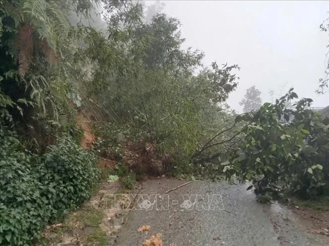 Le gouvernement vietnamien mobilisé face aux risques de catastrophes naturelles dans le Nord. Photo: VNA