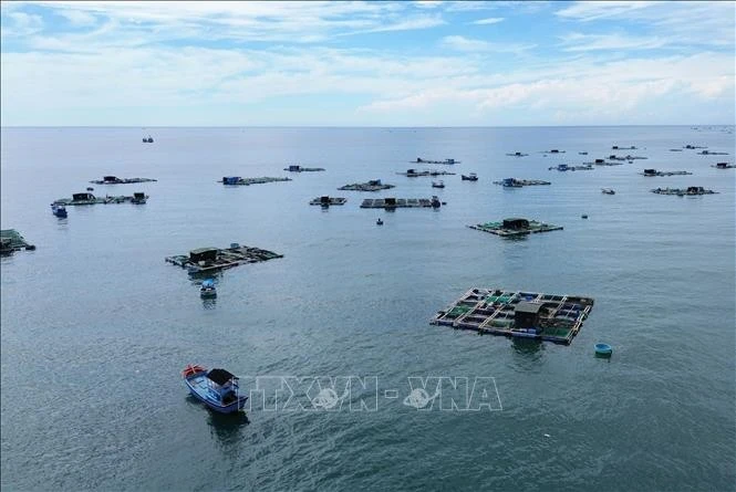 Ces dernières années, l'économie maritime du Vietnam a connu un développement rapide et durable, qui manisfeste dans de nombreux aspects et domaines. Photo: VNA