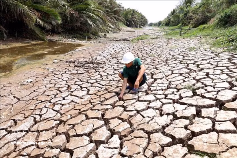 Efforts déployés pour faire face aux changements climatiques. Photo: VNA