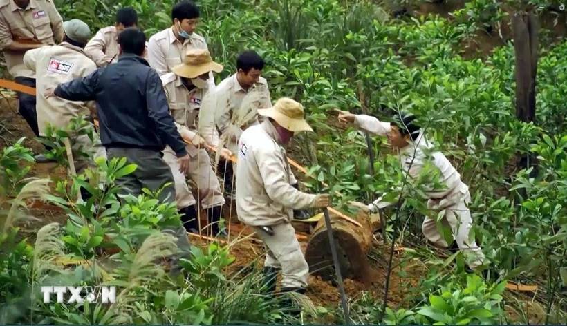 Des employés de MAG travaillent à Quang Binh. Photo: VNA