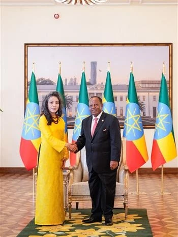 L'ambassadrice du Vietnam en Tanzanie et en Éthiopie, Vu Thanh Huyen, et le président d'Éthiopie, Taye Atske Selassie. Photo: VNA