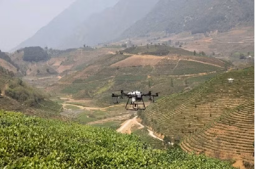 Utilisation de drones dans la production agricole de la province de Lai Chau. Photo : nhandan.vn