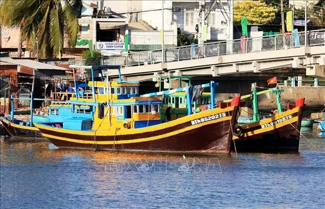 Binh Thuan renforce ses mesures de lutte contre la pêche INN. Photo: VNA