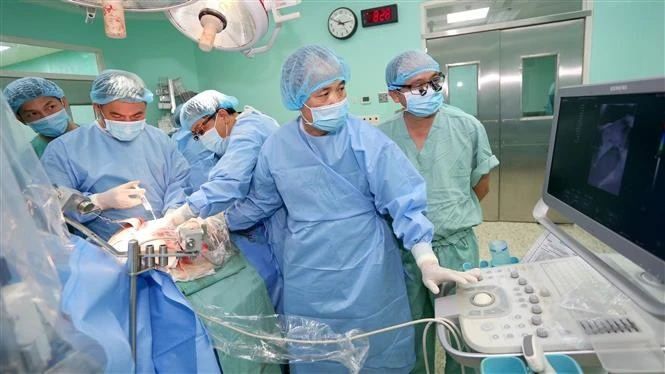 Le 19 juin dernier, l'hôpital central de Huê a annoncé une avancée médicale majeure : la réalisation réussie de quatre transplantations simultanées d'organes. Photo: VNA
