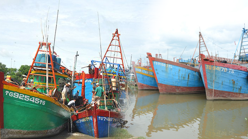 Dong Thap renforce la gestion de sa flotte de pêche pour lutter contre la pêche INN. Photo: Congly.vn