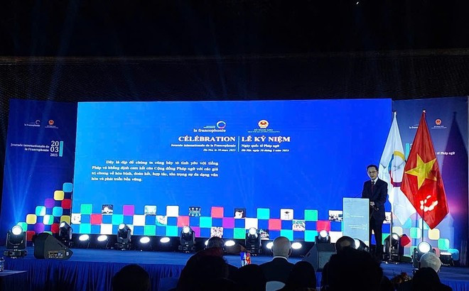 le vice-ministre des Affaires étrangères, Do Hung Viet, s'exprime lors de l'événement. Photo: Vietnam+