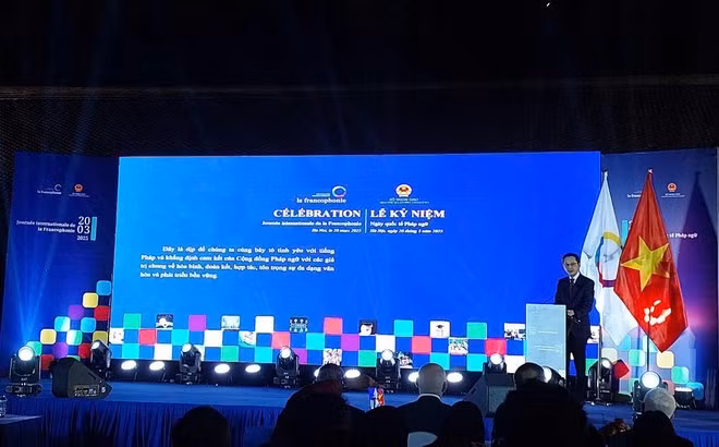 le vice-ministre des Affaires étrangères, Do Hung Viet, s'exprime lors de l'événement. Photo: Vietnam+
