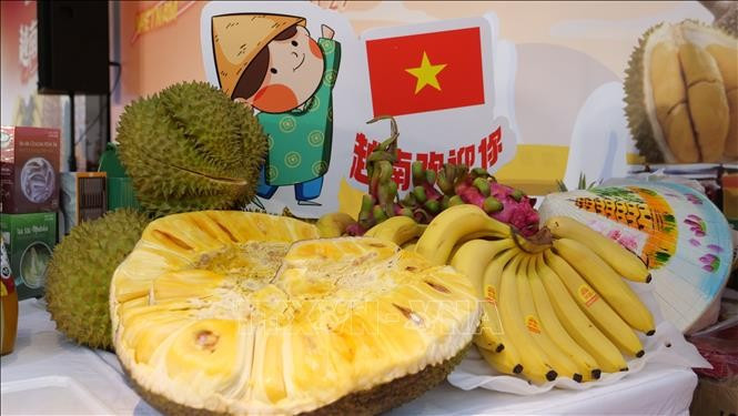 Les fruits vietnamiens sont présentés à la Journée des produits vietnamiens en Chine et au Festival des fruits vietnamiens. Photo: VNA