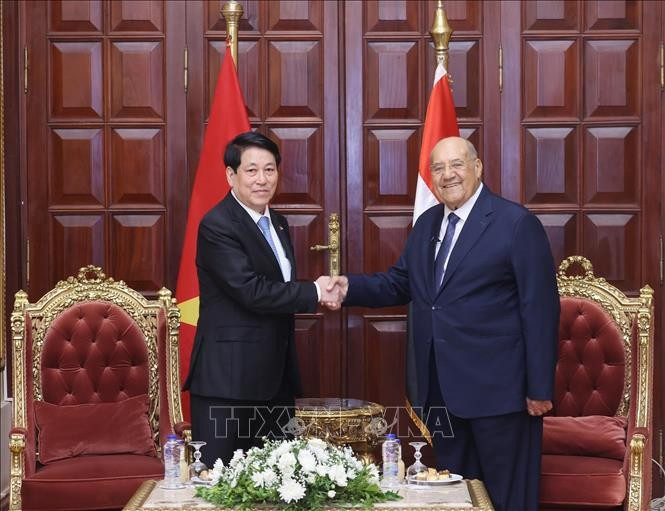 Le président vietnamien Luong Cuong (gauche) et le président du Sénat égyptien, Abdel-Wahab Abdel-Razeq. Photo: VNA