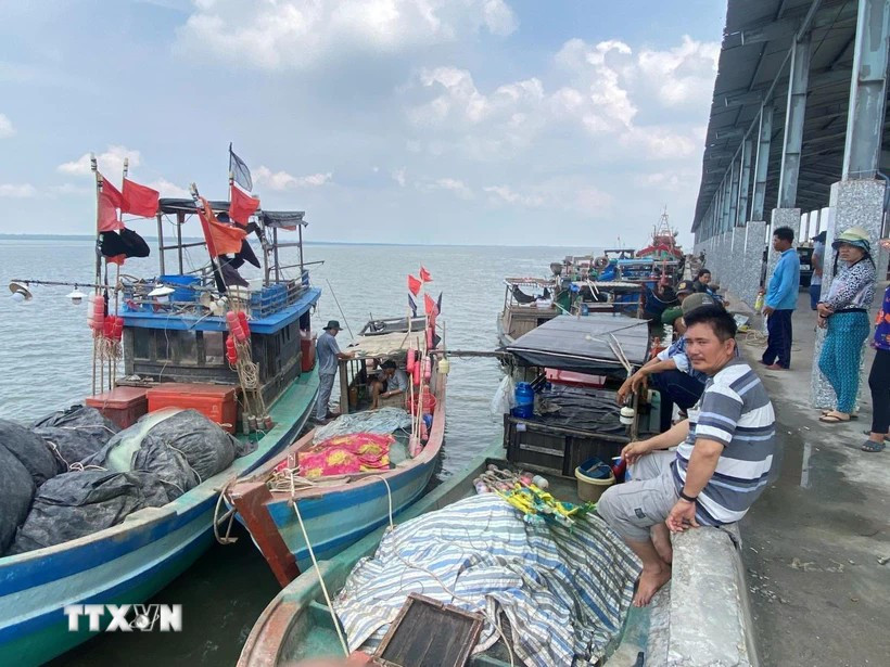Binh Dinh intensifie sa lutte contre la pêche INN. Photo: VNA