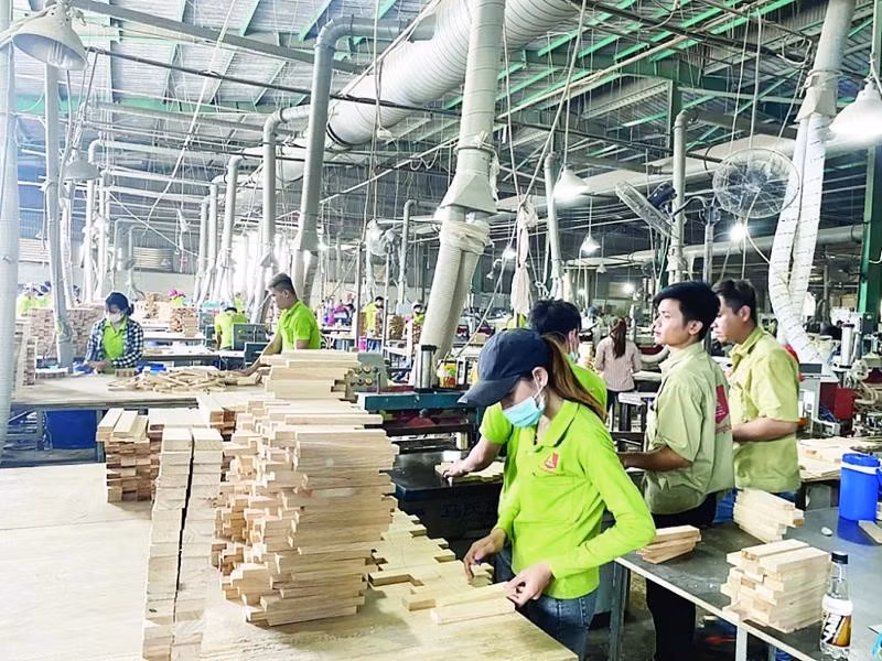 Les exportations forestières atteignent un record de 17,3 milliards de dollars. Photo: vneconomy.vn