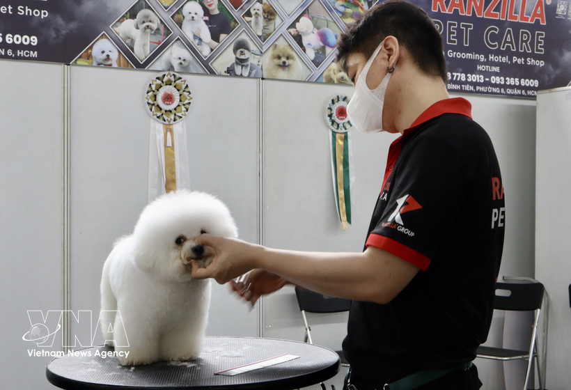 Le Vietnam s’impose comme une destination stratégique pour les exportateurs sud-coréens d’aliments et d’accessoires pour animaux de compagnie. Photo: VNA