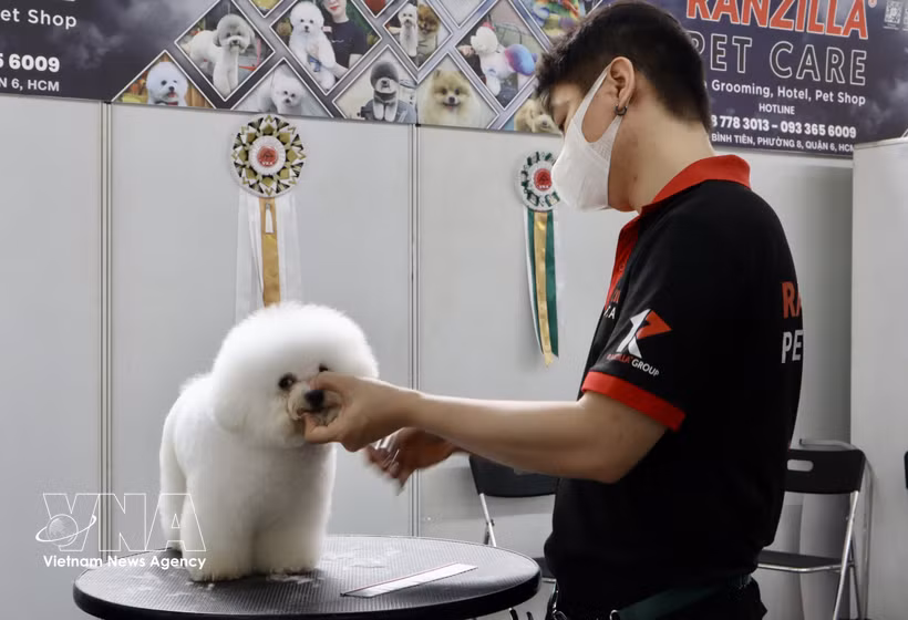 Le Vietnam s’impose comme une destination stratégique pour les exportateurs sud-coréens d’aliments et d’accessoires pour animaux de compagnie. Photo: VNA