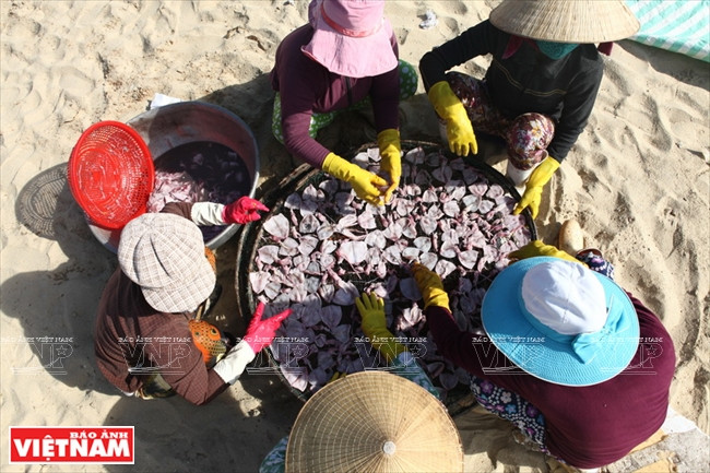 Le traitement et le séchage des produits aquatiques sont assumés essentiellement par les femmes.