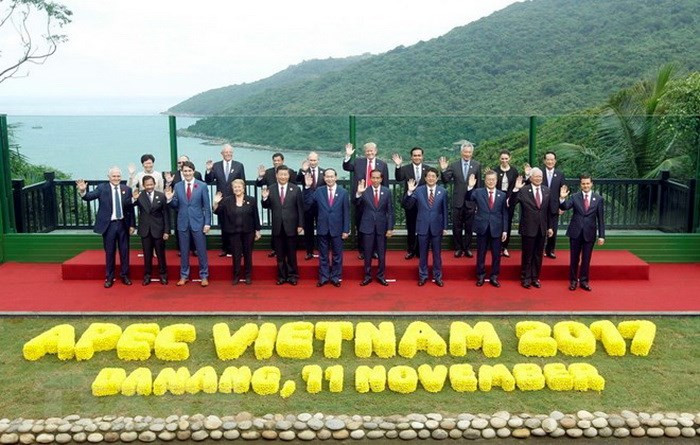  Le président Tran Dai Quang et les chefs des délégations participant à la 25e conférence des dirigeants économiques de l'APEC, le 11 novembre 2017 à Da Nang.