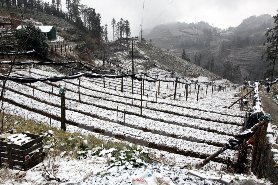 Ces 10 cm de neige ​représentent la plus forte chute depuis plusieurs dizaines d’années. 