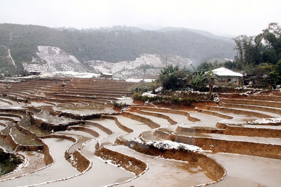 Les températures dans ces régions sont descendues dimanche matin ​entre - 6°C et 3°C, l​es plus basses depuis des années. 
