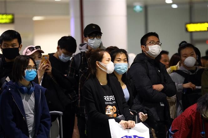 La plupart des passagers sont Vietnamiens en provenance du Royaume Uni, de France, d'Allemagne et de Russie. Photo: VNA