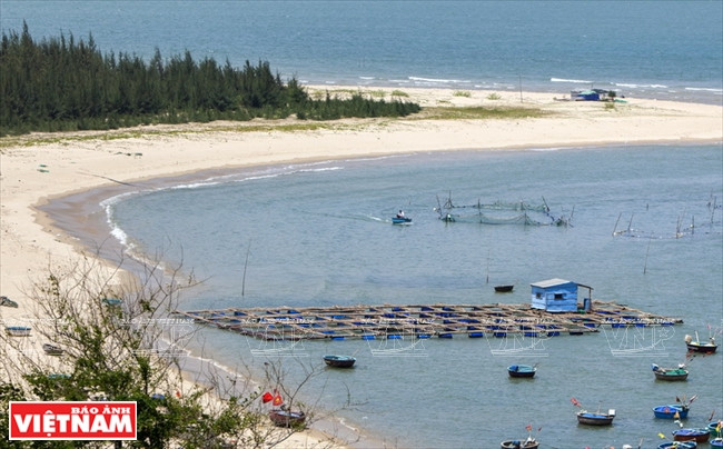 Un radeau d’élevage de coquillages en baie de Xuân Daï.