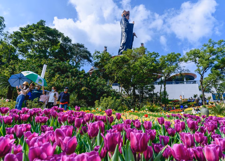 Les tulipes plantées au sommet du mont de Ba Den attirent de nombreux touristes.