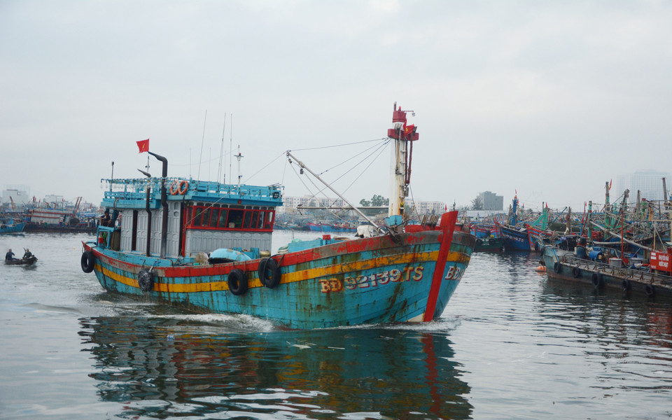 Des bateaux de pêche au port de Tho Quang, à Da Nang.